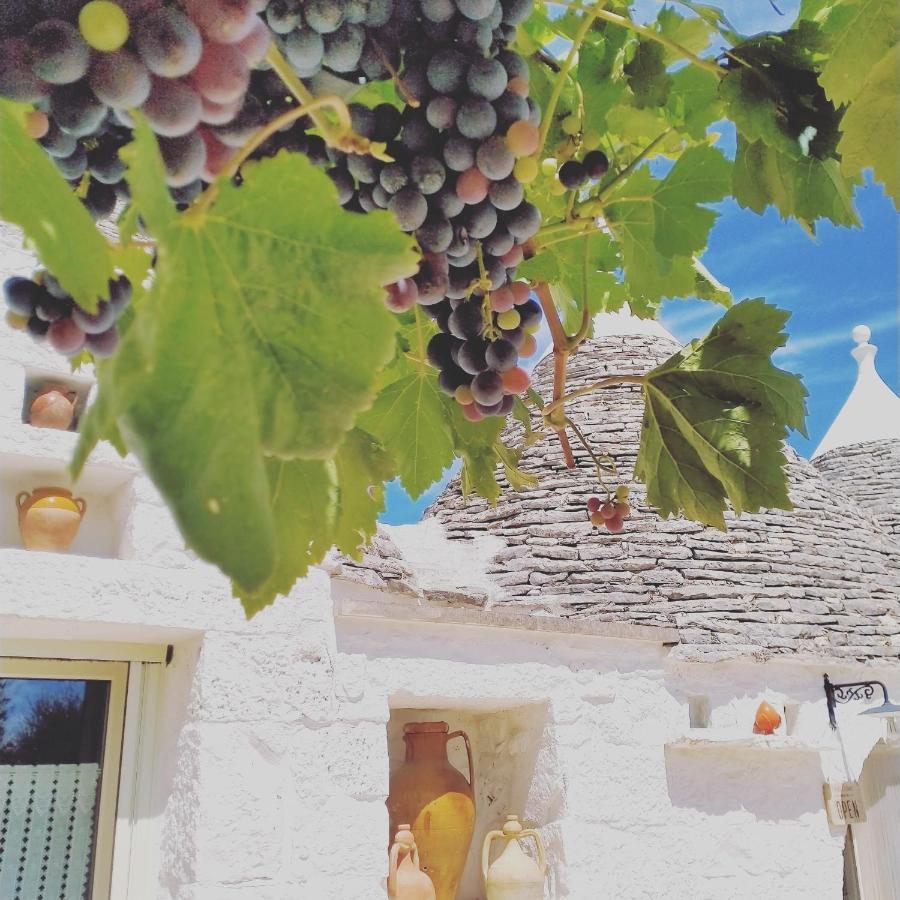 B&B Masseria Nuove Caselle Villa Castelli Exterior photo